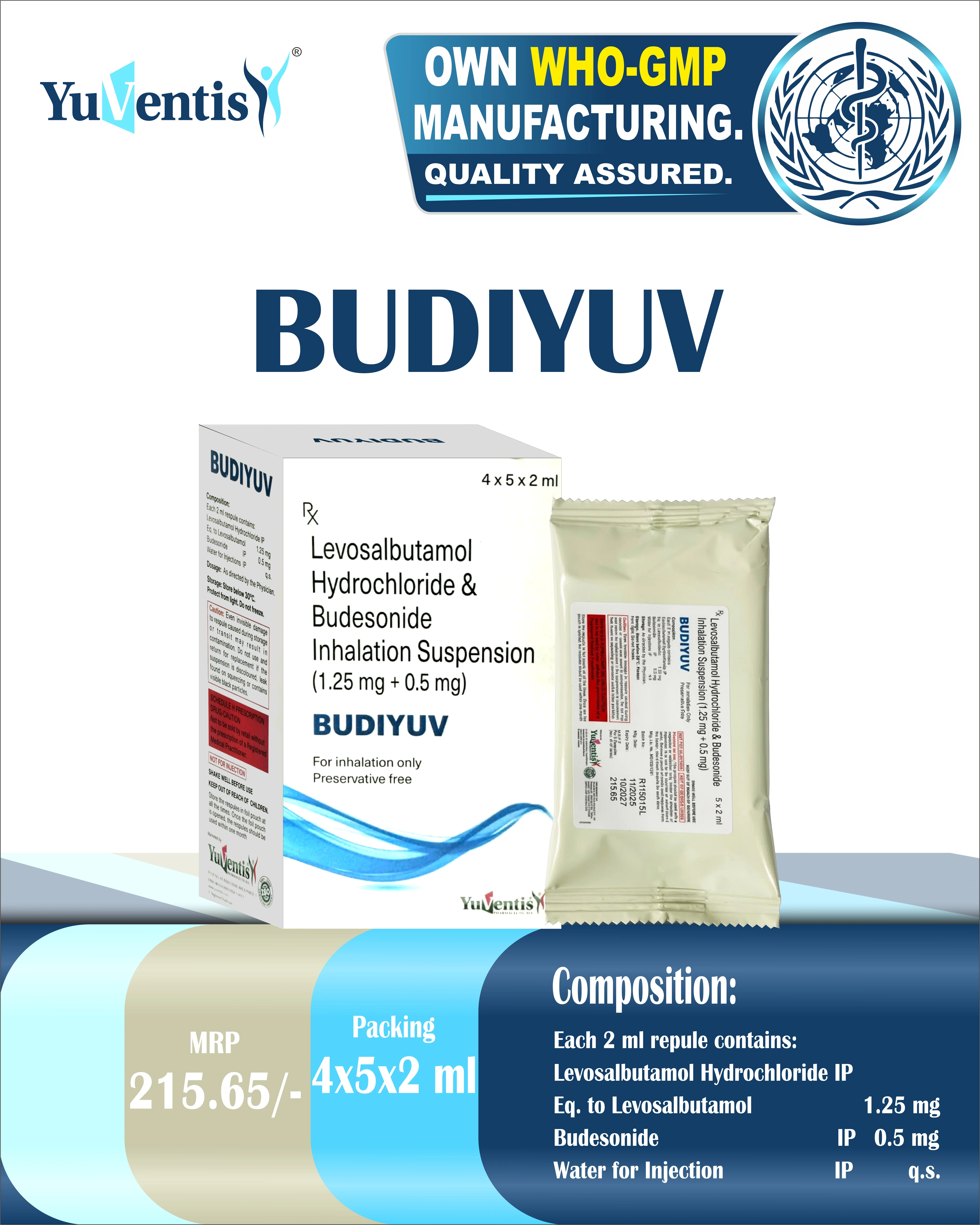BUDISOL