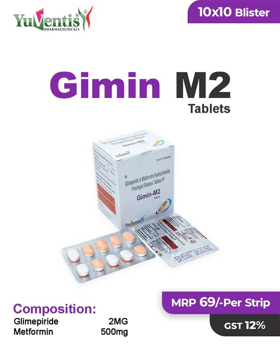 GIMIN - M2